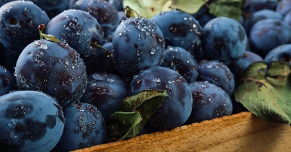 Szeptemberi kertészkedés